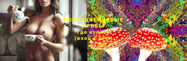 первитин Белокуриха