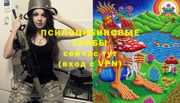 первитин Белокуриха