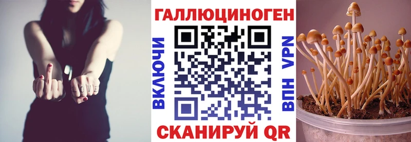 сайты даркнета как зайти MEGA зеркало Псилоцибиновые грибы Psilocybine cubensis Кропоткин купить цена